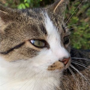 Meet your Posher, Elyse